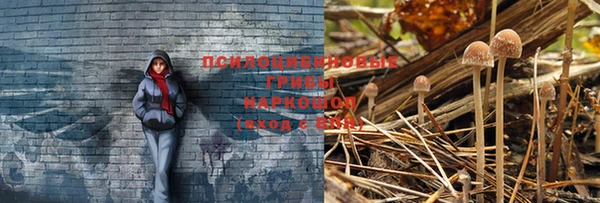 прущая мука Михайловск