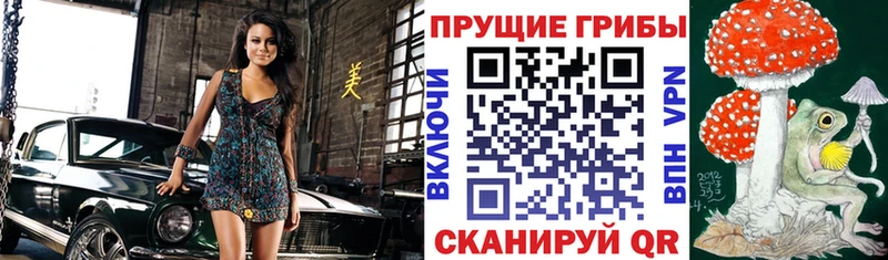 купить   Щёкино  KRAKEN маркетплейс  Галлюциногенные грибы Psilocybe 